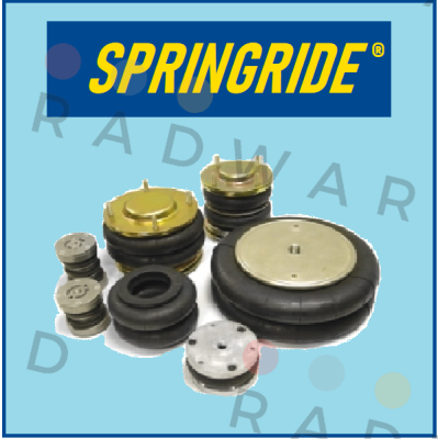 Springride logo