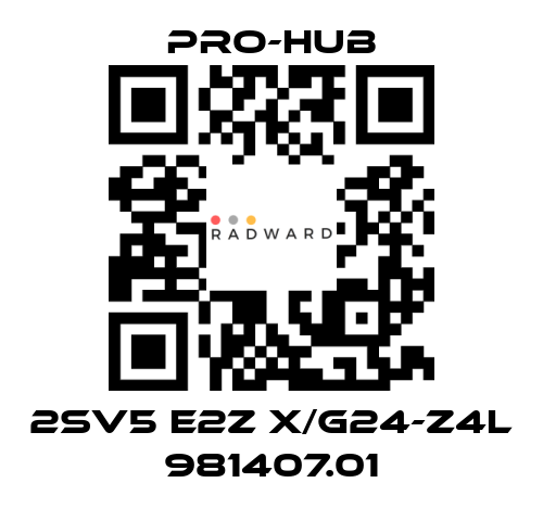 Pro-Hub-2SV5 E2Z X/G24-Z4L 981407.01 price