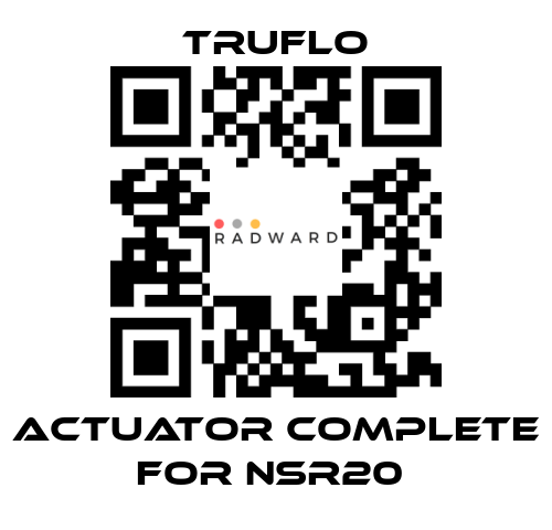 TRUFLO-Actuator Complete For NSR20  price