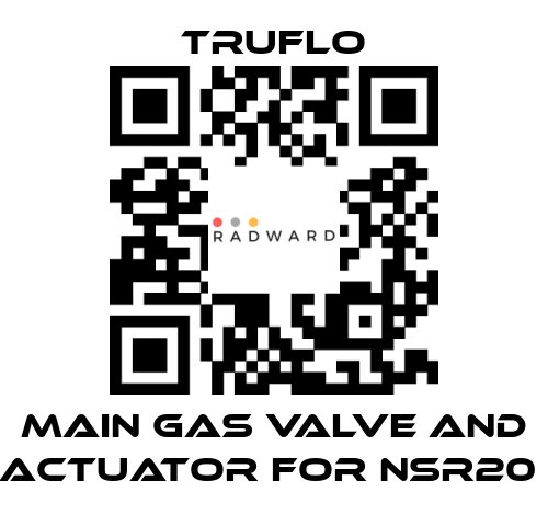 TRUFLO-Main Gas Valve and Actuator For NSR20  price