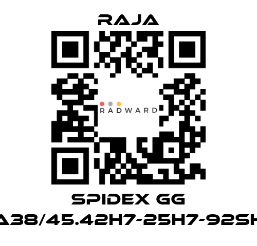 Raja-SPIDEX GG A38/45.42H7-25H7-92SH price