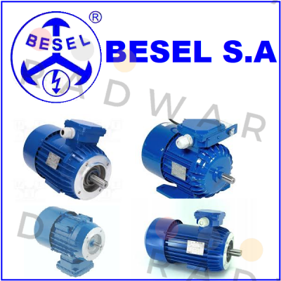 BESEL S.A.-101353 price