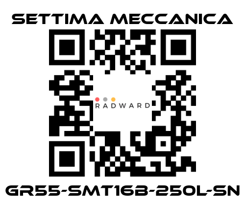 Settima Meccanica-GR55-SMT16B-250L-SN price