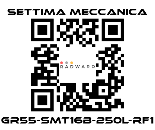 Settima Meccanica-GR55-SMT16B-250L-RF1 price