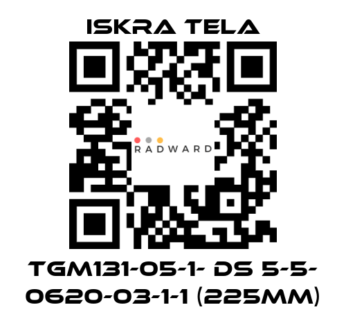 ISKRA TELA-TGM131-05-1- DS 5-5- 0620-03-1-1 (225mm) price