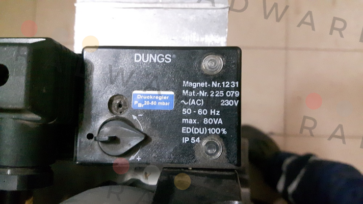 Dungs-228295 (1231 AC 230 V IP 54) price