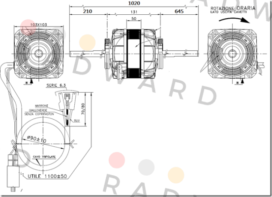 Euro Motors Italia-101B-50135/5Q price